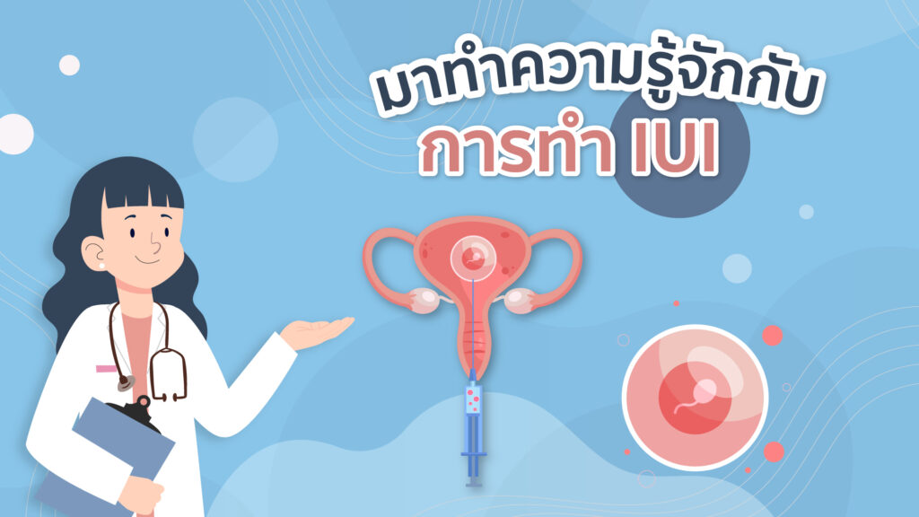 มาทำความรู้จักกับการทำ IUI - Mommy Daddy Life
